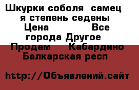 Шкурки соболя (самец) 1-я степень седены › Цена ­ 12 000 - Все города Другое » Продам   . Кабардино-Балкарская респ.